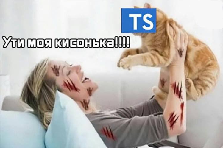 Meme with cat scratched woman still loving her cat, with cat being signed as TypeScript