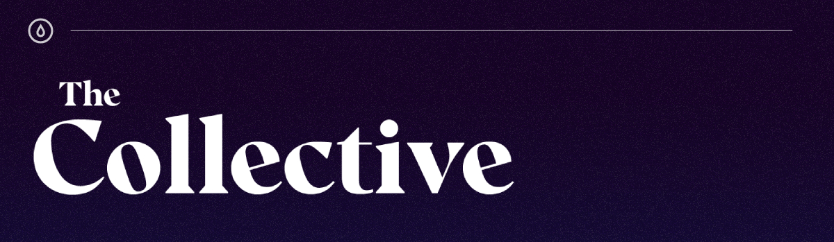 The Collective newsletter